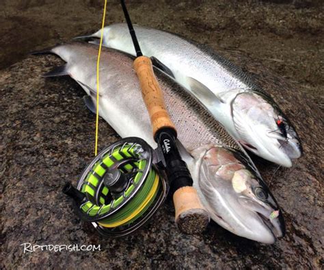 16 of the Best Skykomish River Fishing Spots