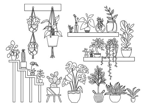 Plant Drawing, Flower Drawing, Free Coloring Pages, Coloring Books, Zentangle Flowers, Plant ...