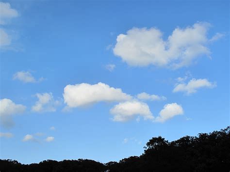 Clouds, FREE Stock Photo, Image, Picture: Sunny Sky Cloudscape, Royalty ...