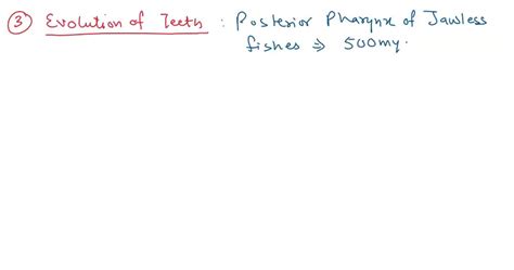 SOLVED: Question 14 pts Please place the following Chordate adaptations in order of most ancient ...