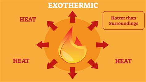 Exothermic Reaction Examples Found in Real Life | YourDictionary