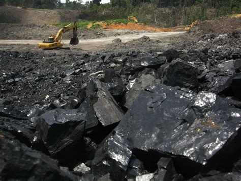 Indonesia targets coal production of 550m tons in 2021 - Business - The Jakarta Post