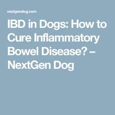 10 Ibd ideas | ibd, dogs, inflammatory bowel disease