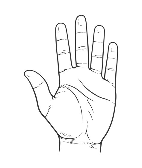 Vector illustration of counting hand. Open palm showing number five in ...