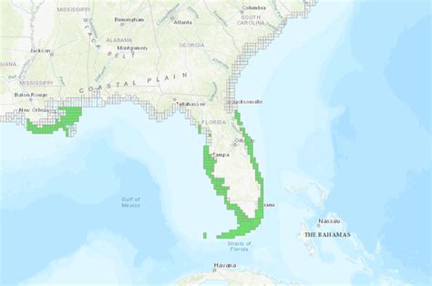 Florida mangrove | Data Basin