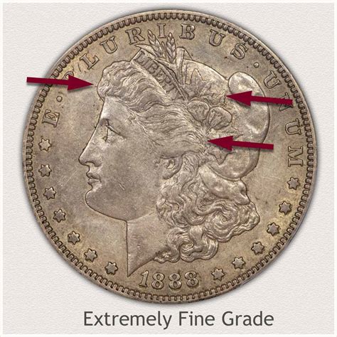 Morgan Silver Dollar Values | Discover Their Worth