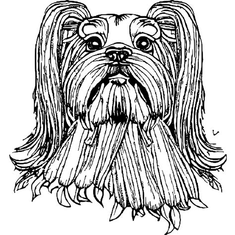 Shih Tzu Coloring Page · Creative Fabrica