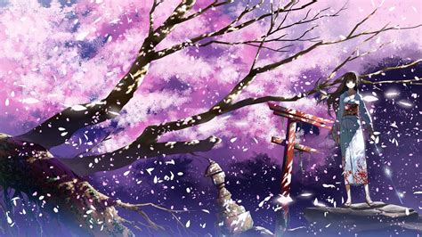 Pin by ERT 陳 on 動漫 | Anime cherry blossom, Cherry blossom wallpaper, Anime scenery wallpaper