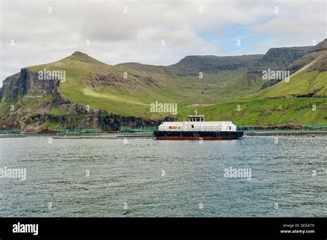 Salmon farming in the Faroe Islands Stock Photo - Alamy