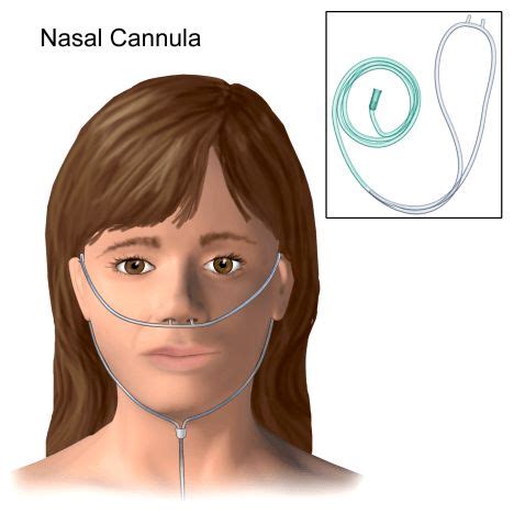 How to insert Nasal Cannula | Medical pictures, Godaddy, Pictures