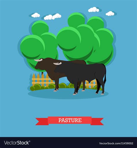 Concept poster beef farm grazing cattle Royalty Free Vector