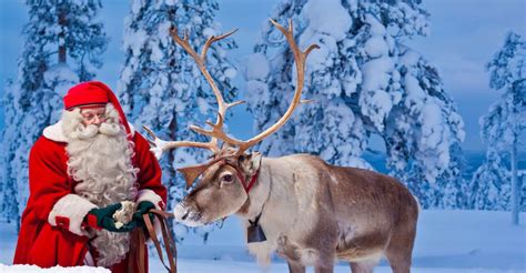 Rovaniemi: Santa Claus Village and Arctic Circle | GetYourGuide