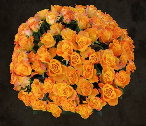 Free photo: flowers, birthday bouquet, roses, love, bouquet of roses, bouquet, birthday | Hippopx