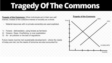 Tragedy Of The Commons Graph