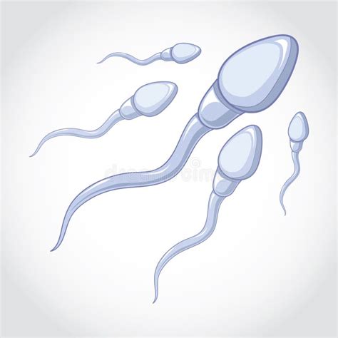 Spermatozoa stock illustration. Illustration of biology - 25465498