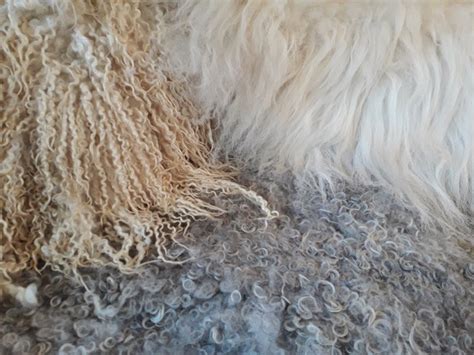 How Do I Make a Vegetarian Sheepskin Rug? Guide.