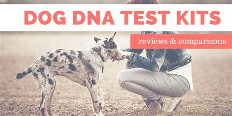 Dog Breed DNA Test Kits: 2018 Reviews & Comparison Ratings