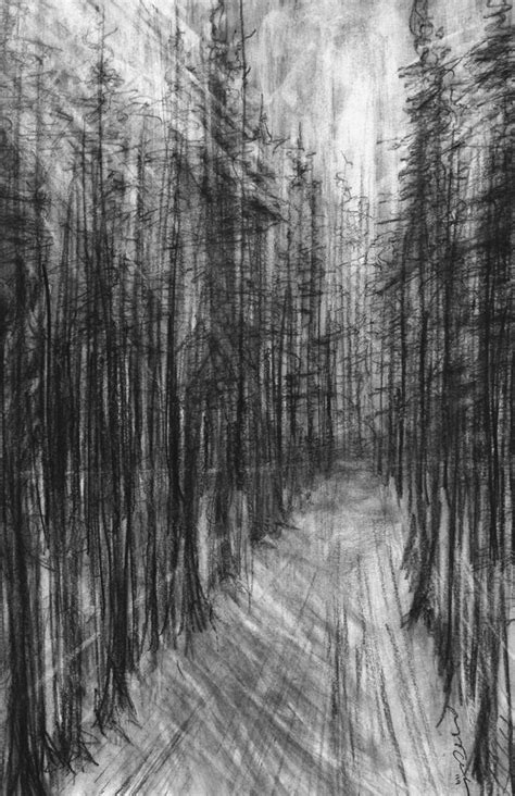 Forest Drawing by Morgyn Crotts | Saatchi Art