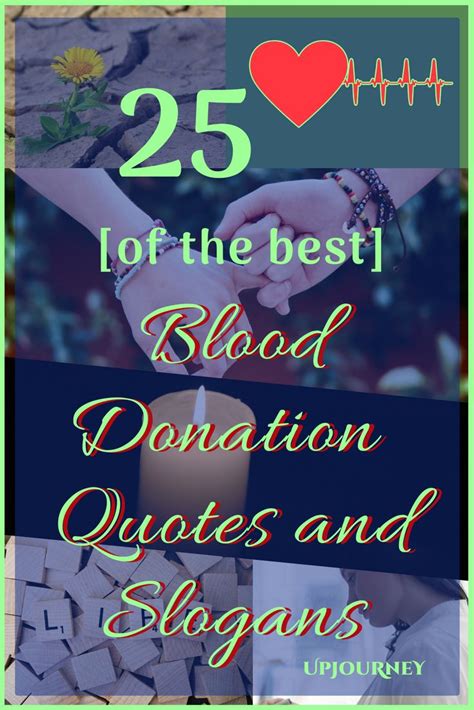 30+ [BEST] Blood Donation Quotes and Slogans (in 2023) | Donation quotes, Blood donation, Blood