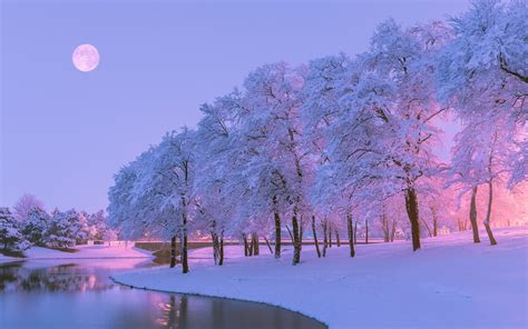 Wallpaper Beautiful winter, snow, trees, river, moon, dusk 2560x1600 Picture, Image