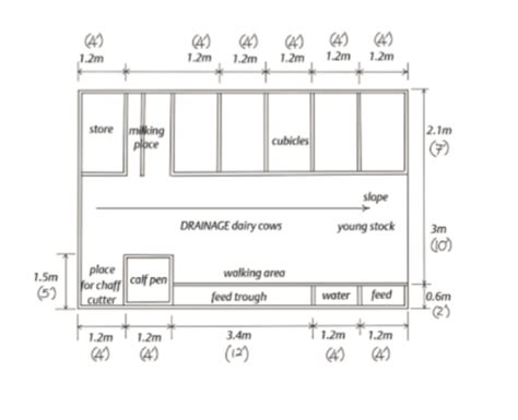 low cost cow shed design pdf - mylollipoptree