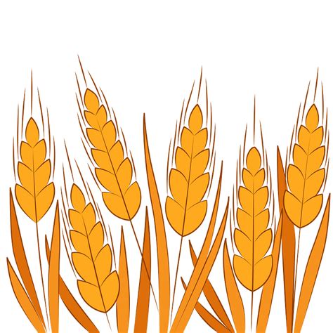 Wheat clipart. Free download transparent .PNG | Creazilla