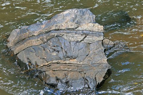 Flat Rock In River Free Stock Photo - Public Domain Pictures