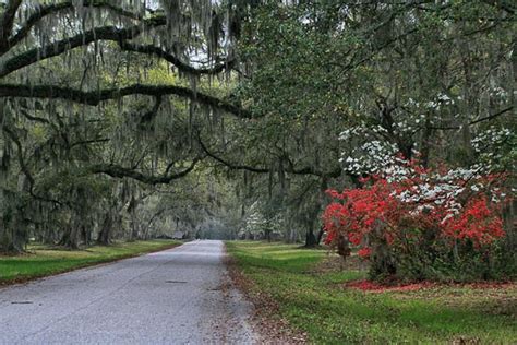 Fun Things to do in Charleston SC - Moncks Corner Attractions