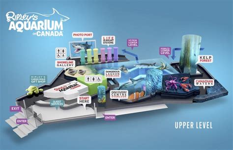 Ripley's Aquarium of Canada Map | Ripley aquarium, Canada map, Canada ...