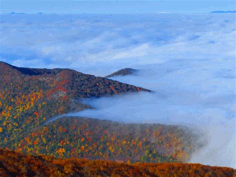 Fall in Asheville, NC | Asheville, NC's Official Travel Site