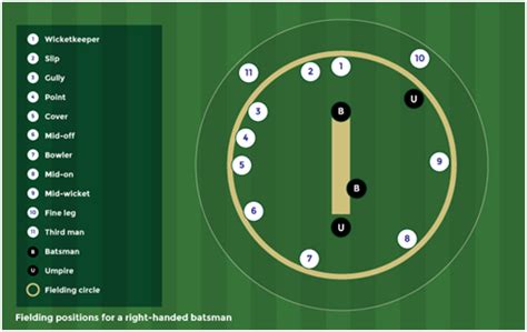 Cricket Rules & Regulations : How To Play Cricket Game