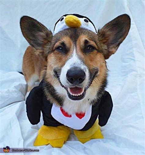 Penguin - Halloween Costume Contest at Costume-Works.com | Dog halloween costumes, Puppy ...