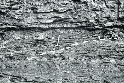 A ''wedge'' area, in which opposing thrusts meet in the exposed... | Download Scientific Diagram