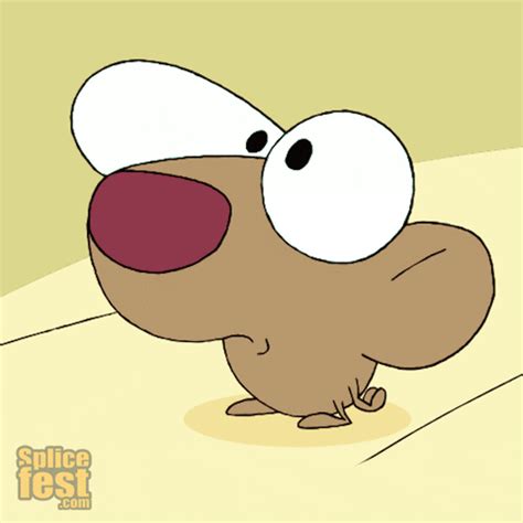 Gerbil GIFs - Find & Share on GIPHY