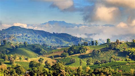 colombia-coffee-region