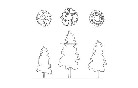 Pine Trees, Plan+Elevation - Free CAD Drawings