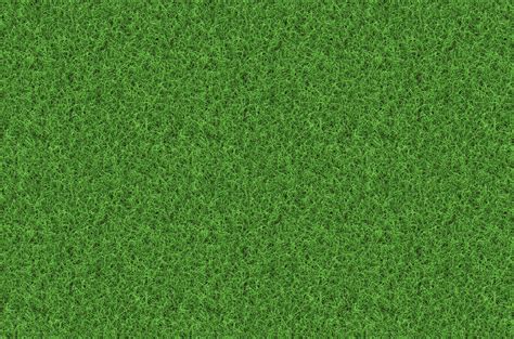 Green Grass Backgrounds - Wallpaper Cave