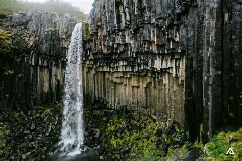 Svartifoss Waterfall in Iceland | Adventures.com