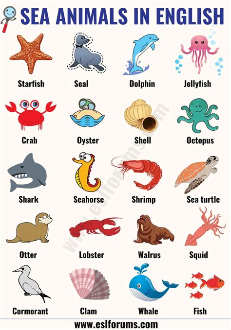 Top 153 + 10 aquatic animals name in english - Inoticia.net