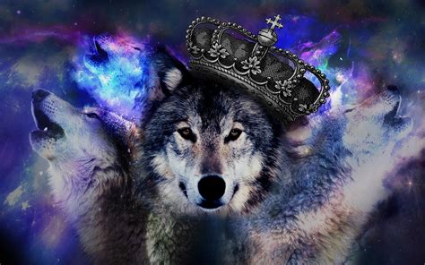 Cool Galaxy Wolf Wallpapers - Top Free Cool Galaxy Wolf Backgrounds ...