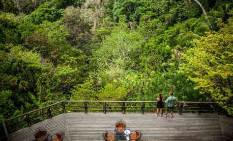 Discover the Costa Rica Rainforest | Costa Rica Experts