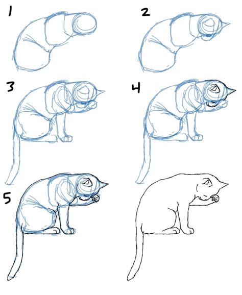 Dessin de chat : devinez un pro grâce à ces techniques, tutos faciles et modèles inspirants