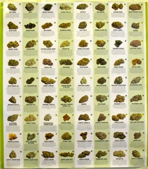 Know Your Type: Cannabis Classifications