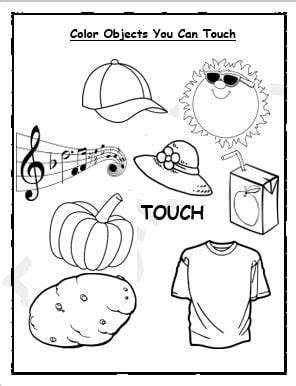 Sense of Touch Picture Worksheet - EnglishBix