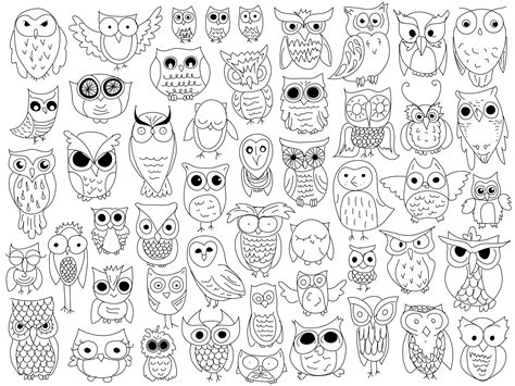 an image of many different owls in black and white