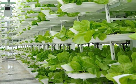 Vertical farms profiled on CBS Morning News | Robohub