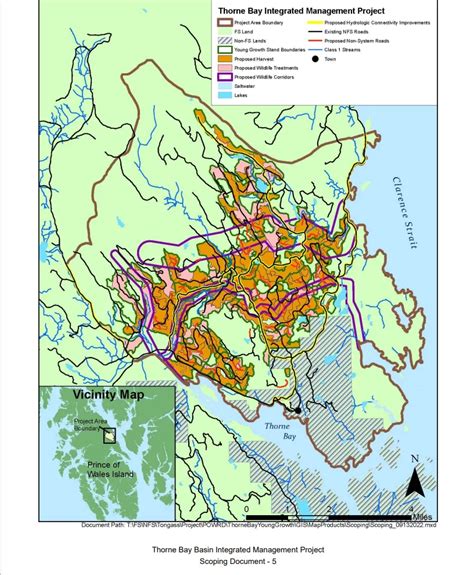 Forest Service proposes young growth timber sale near Thorne Bay ...