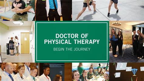 3+3 Physical Therapy Programs In Florida - INFOLEARNERS