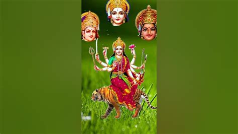 मनसा देवी जी की आरती | Mansa Devi Ji Ki Aarti | Jai Jai Mansa Mata | Mansa Devi Aarti Songs# ...
