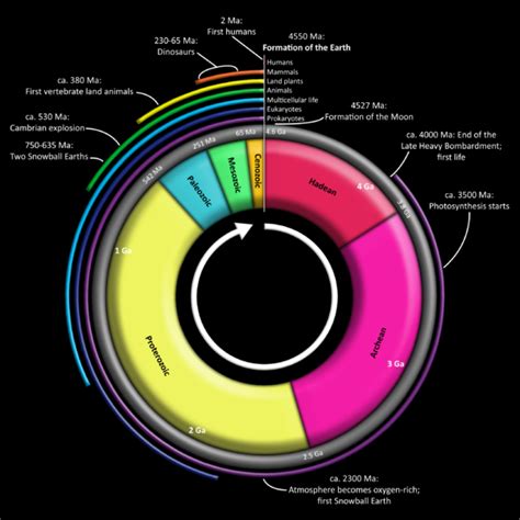 PopSciColl: Timeline of Evolution - Links